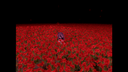 nophenia screenshot 4