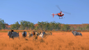 Pasture: The Livestock Simulator screenshot 2