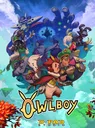 Owlboy cover art