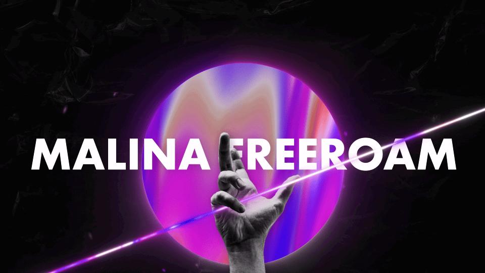 Discovery splash banner for Malina Freeroam | FiveM Discord server