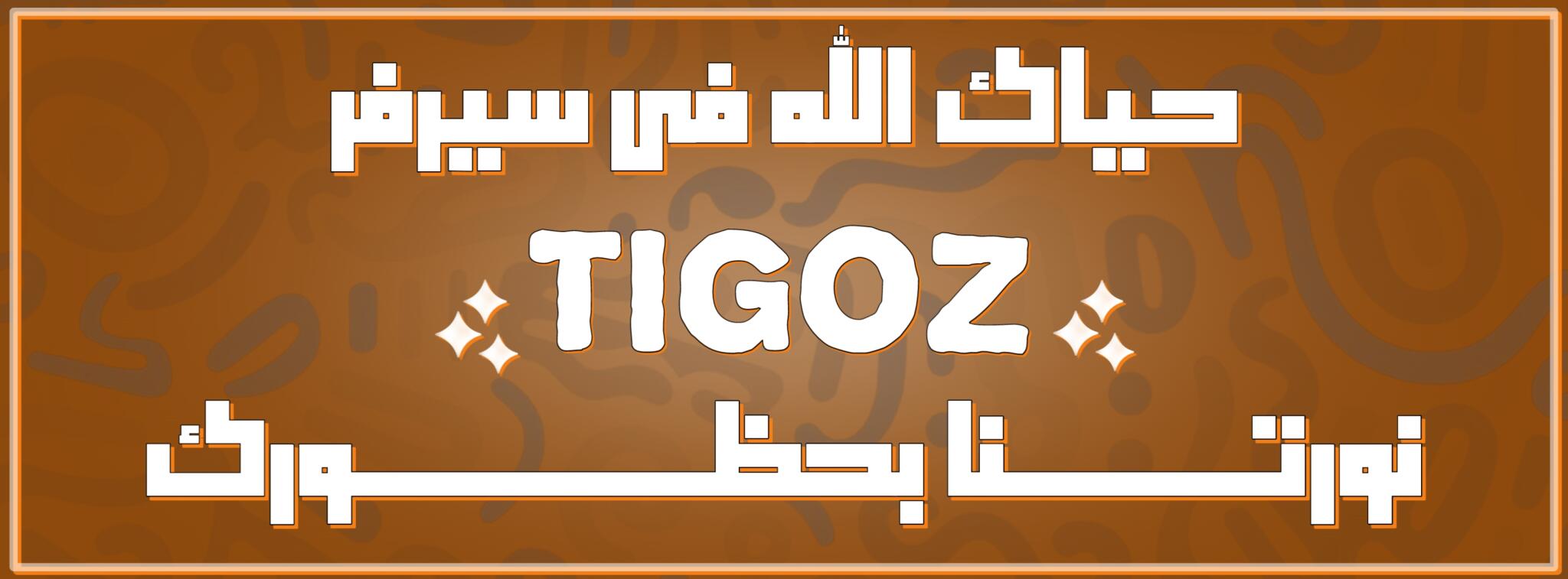Discovery splash banner for تايجوز | TIGOZ Discord server