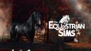 Discovery splash banner for The Equestrian Sims Discord server
