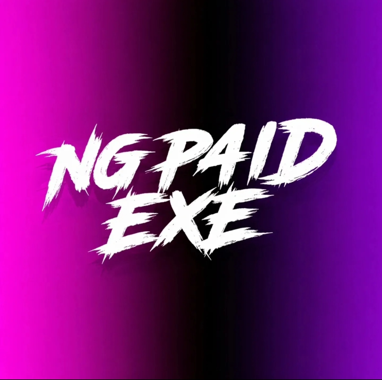 Discovery splash banner for NG P4iD EXE Discord server
