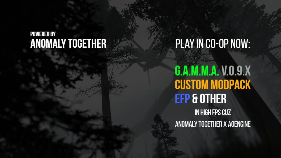 Discovery splash banner for Anomaly Together Discord server