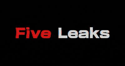 Discovery splash banner for 🗂 | FIVE LEAKS #EU #3K Discord server