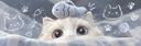 Discovery splash banner for 。°✩₊gg/chanel — PFPs & Icons | Banners • GIFs • Emojis • Stickers Discord server