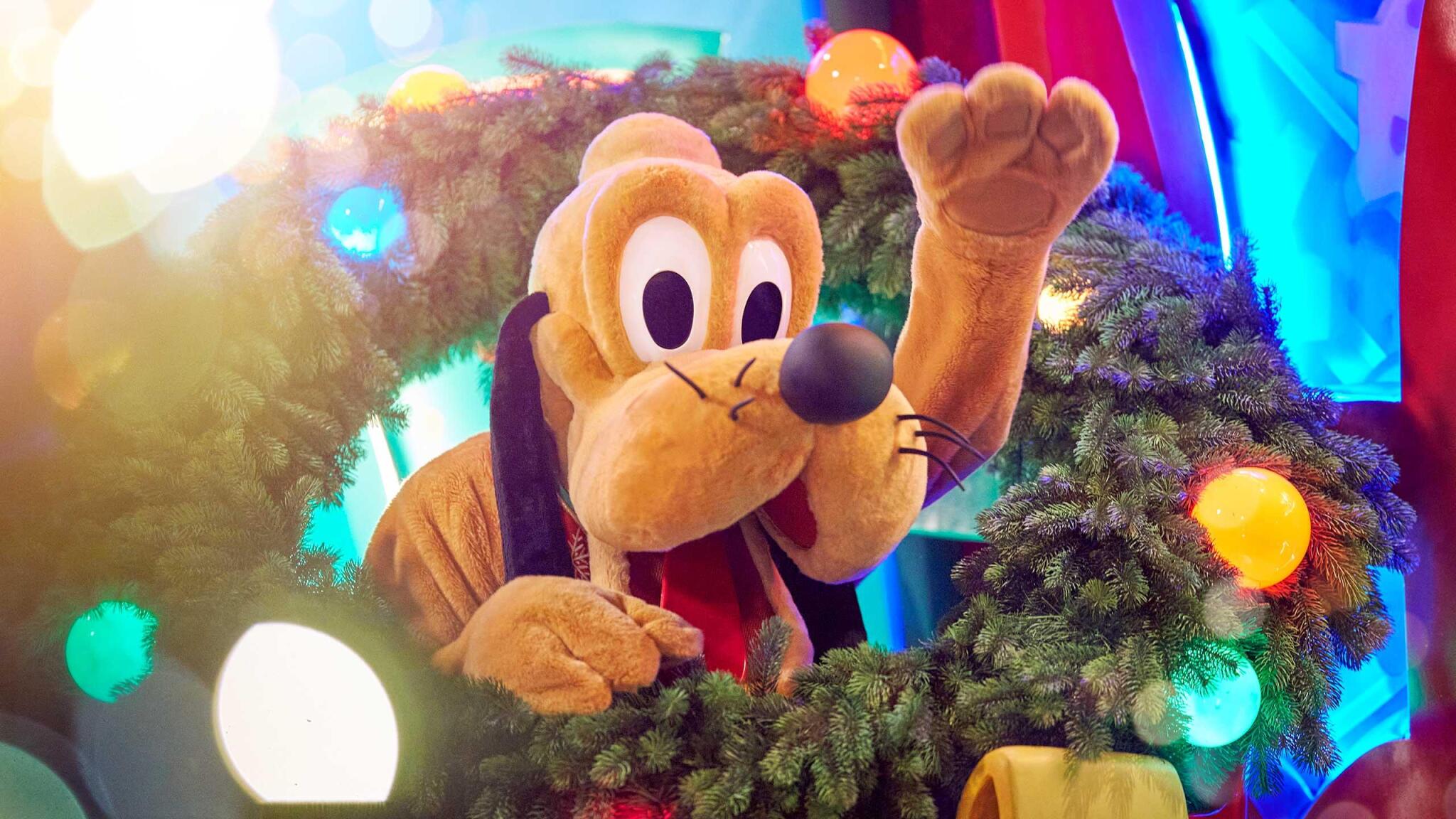 Discovery splash banner for DLP HELP - Notifications et Entraide Discord server