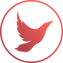 Discovery icon for Aerial Interactive Discord server