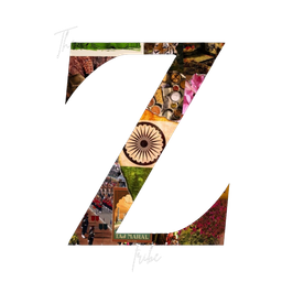 Discovery icon for The Z Tribe Discord server