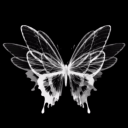 Discovery icon for MIRACLE RICH Discord server
