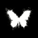 Discovery icon for MIRACLE RICH Discord server