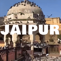 Discovery icon for Jaipur™ || • Chill • Events • Hangout • VC • Giveaway • Non Dating Discord server