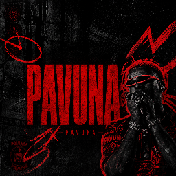 Discovery icon for ® | Pavuna Community Discord server