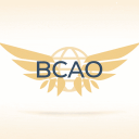 Discovery icon for Bloxburg Civil Aviation Organization Discord server